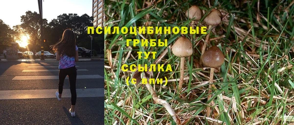 тгк Баксан