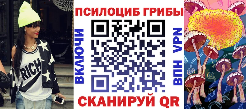 гидра ссылки Пересвет Псилоцибиновые грибы прущие грибы